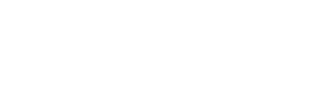 Elifinity